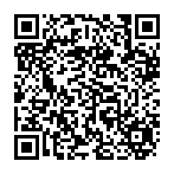 鼎信國際開發顧問有限公司-QR CODE