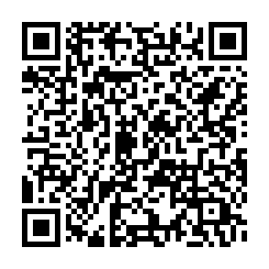 鼎信國際開發顧問有限公司-QR CODE