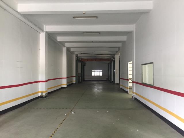 桃園大園廠房-0