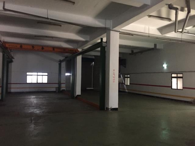 桃園大園廠房-3
