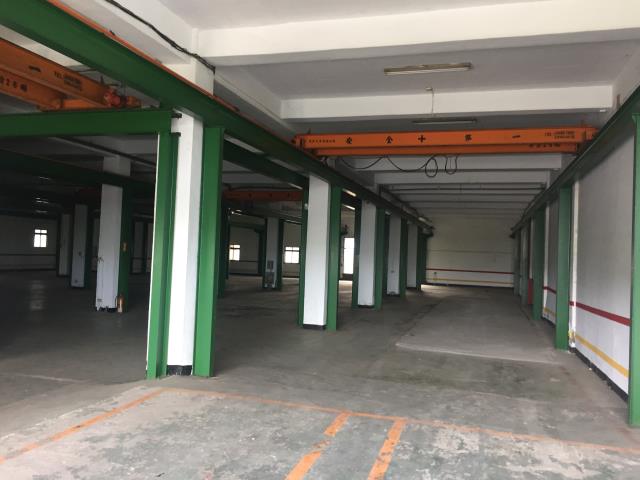 桃園大園廠房-1