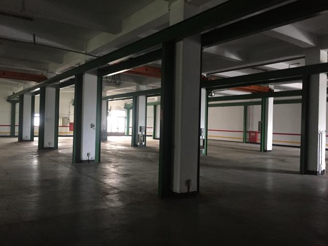 桃園大園廠房-4