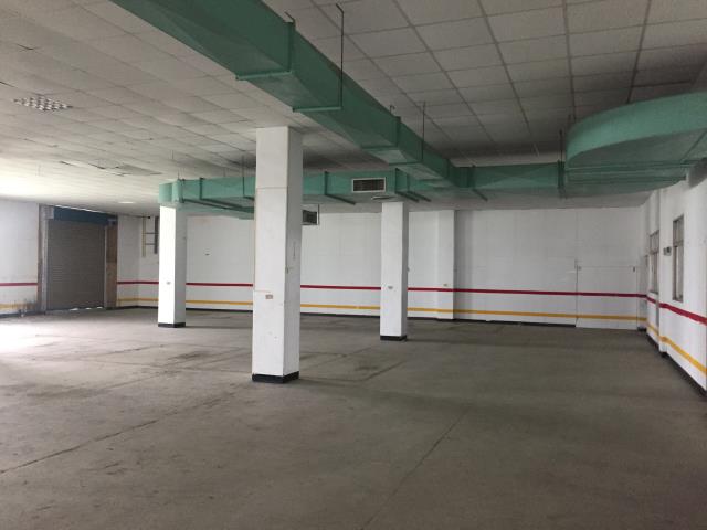 桃園大園廠房-6