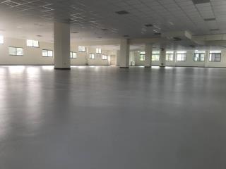 桃園龜山廠房-0