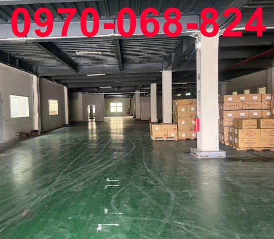 桃園中壢廠房-0