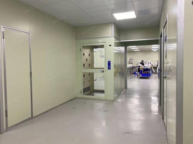 桃園大園廠房-1