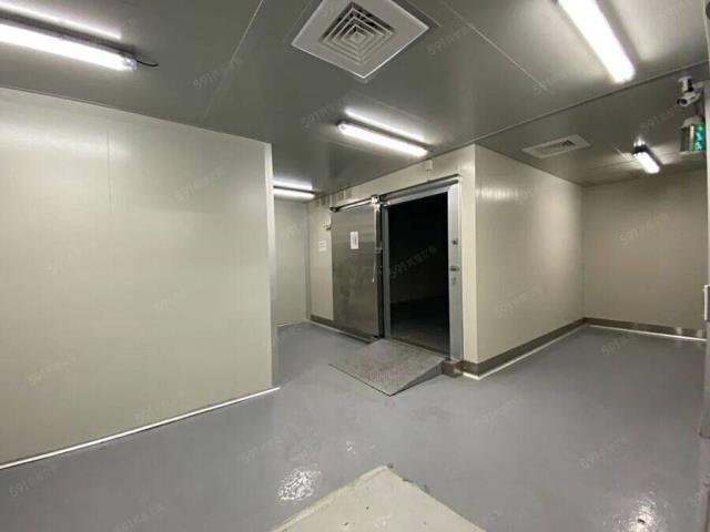 桃園大園廠房-2