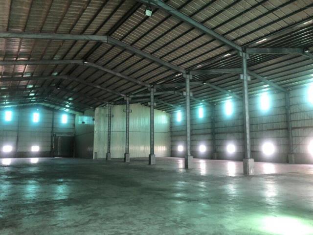 桃園大園廠房-0