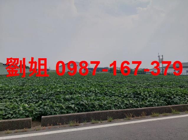 高雄大寮廠房-0