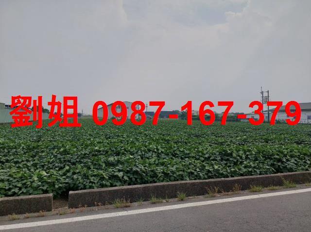 高雄大寮廠房-0