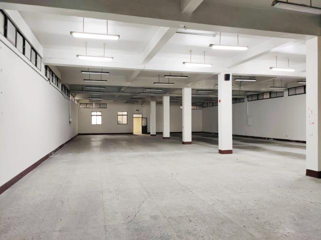 桃園八德廠房-2
