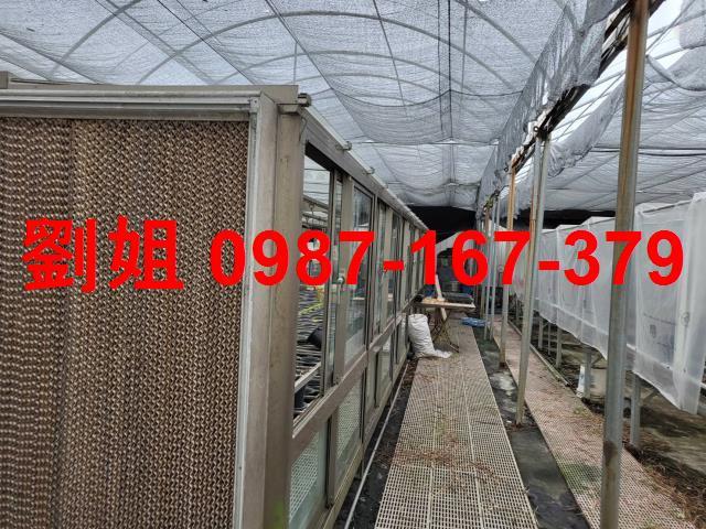 高雄仁武廠房-0