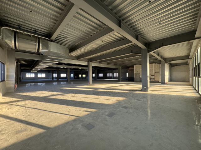 桃園八德廠房-2