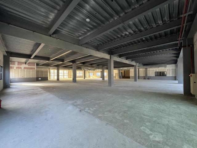 桃園八德廠房-3