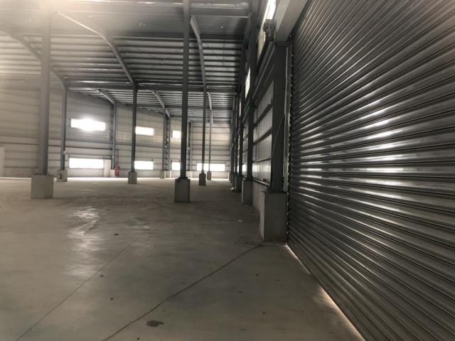 桃園中壢廠房-0