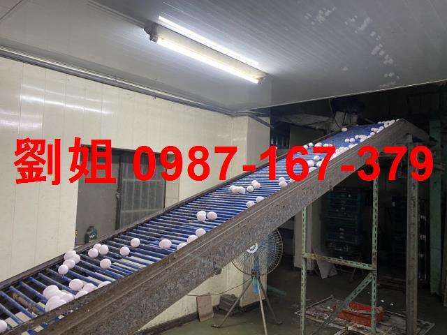 台南鹽水廠房-0