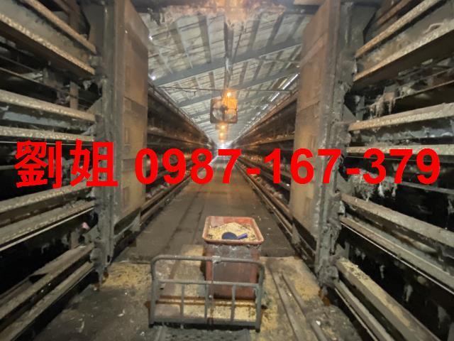 台南鹽水廠房-2