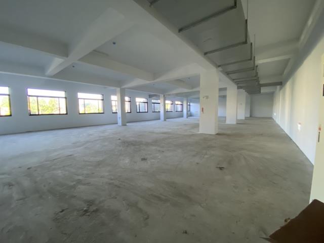 桃園中壢廠房-0