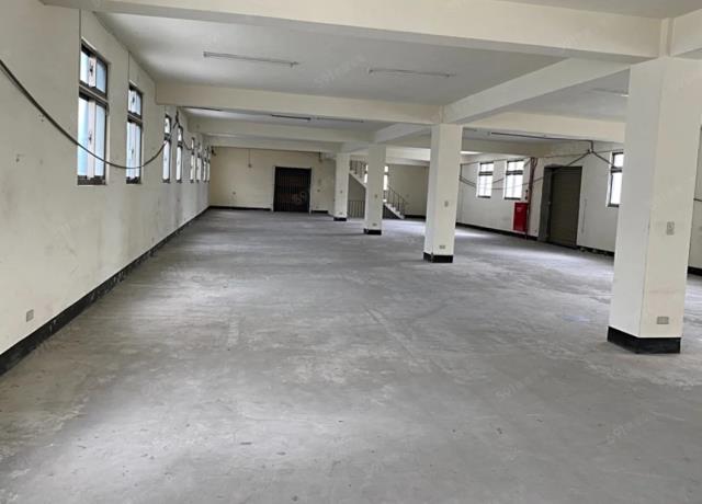 新北新莊廠房-1