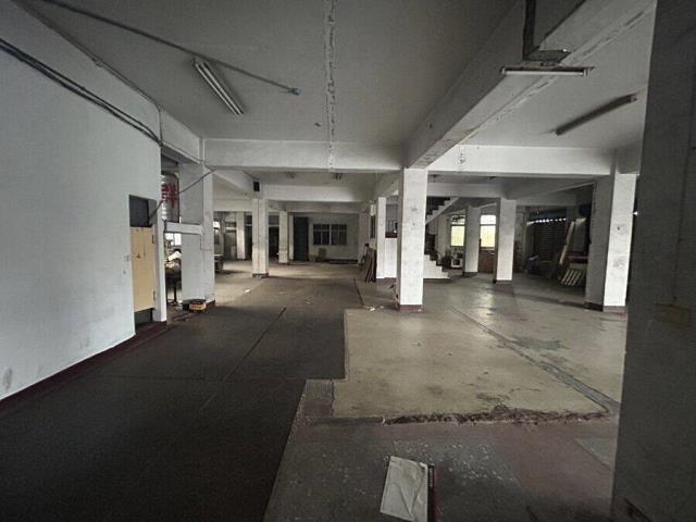 桃園八德廠房-3