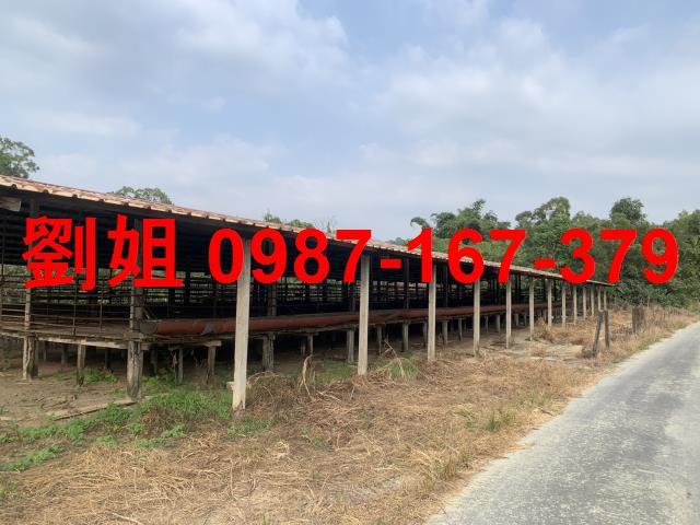 高雄仁武廠房-0