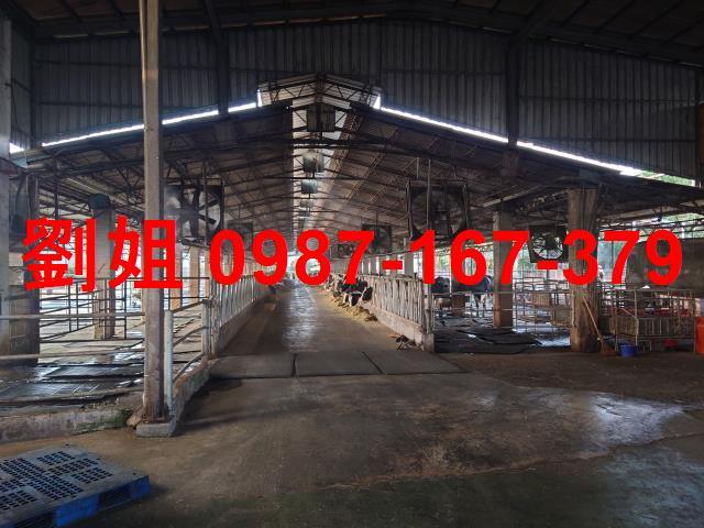 高雄大寮廠房-0