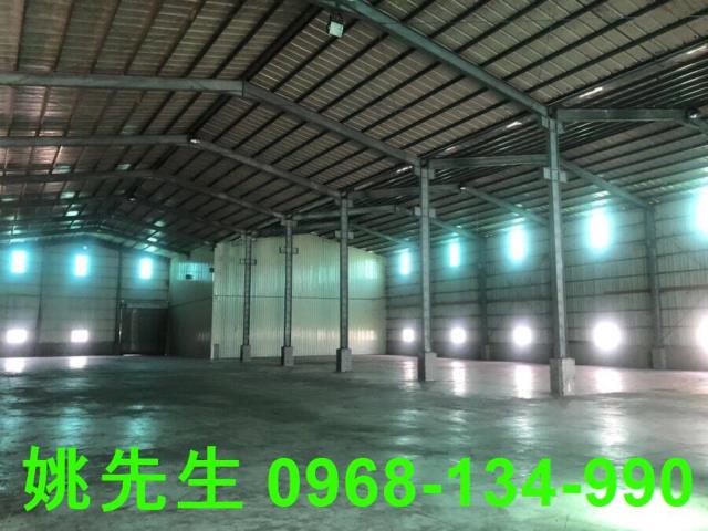 桃園大園倉庫-0
