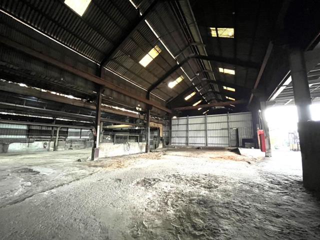 桃園大園廠房-3