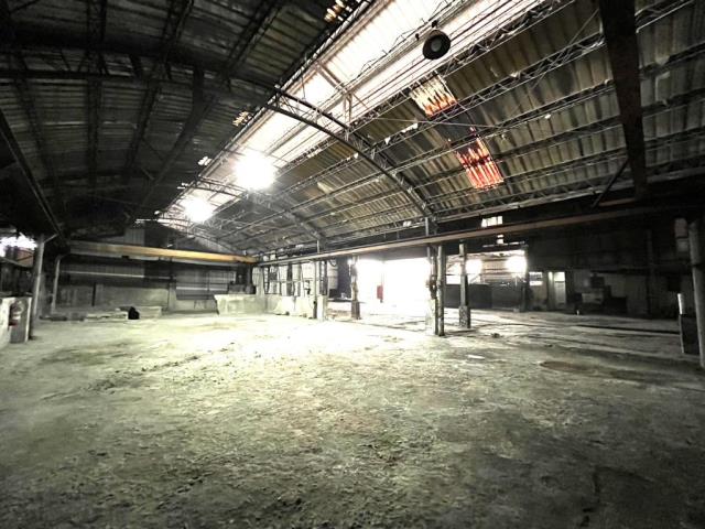 桃園大園廠房-4
