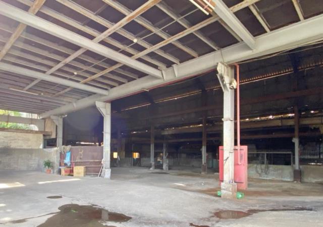 桃園大園廠房-6