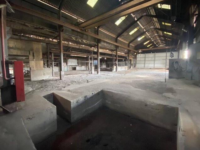 桃園大園廠房-7