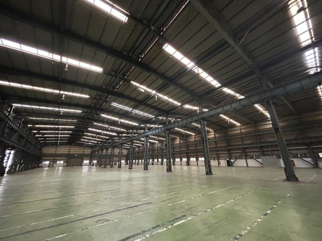 桃園大園廠房-0
