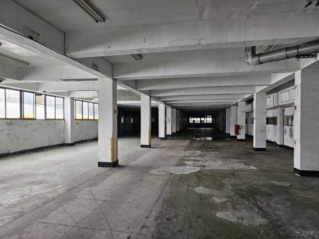 桃園蘆竹廠房-1