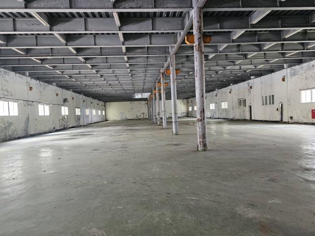 桃園蘆竹廠房-2