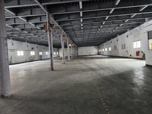 桃園蘆竹廠房-3