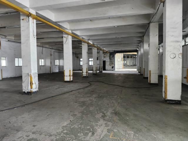 桃園蘆竹廠房-4