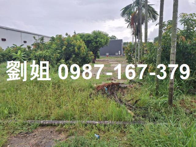 高雄鳥松廠房-0