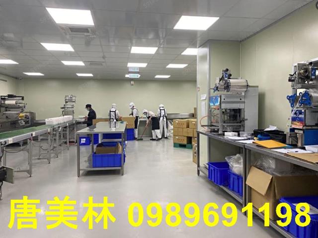 桃園大園廠房-3