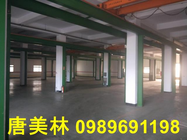 桃園大園廠房-7