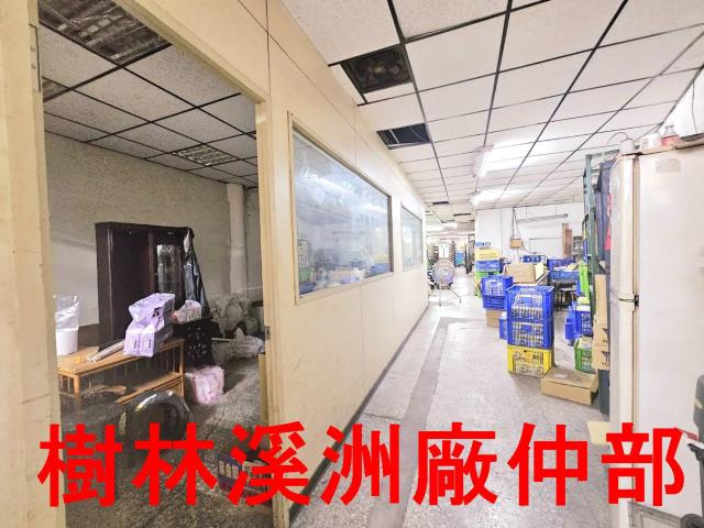 樹林廠房-1