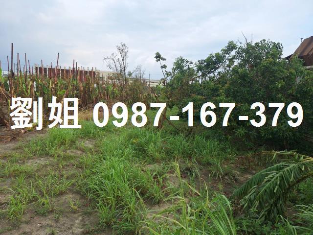 高雄大寮廠房-0