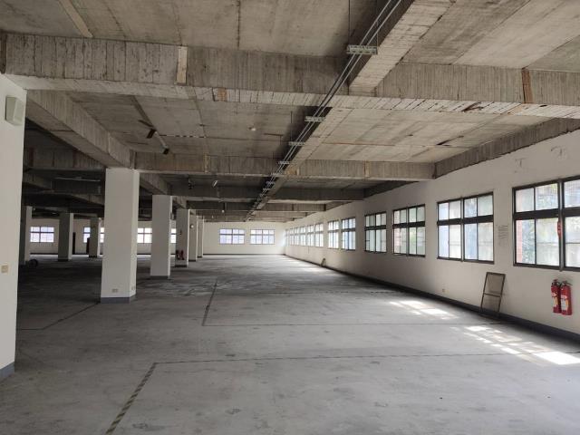 桃園廠房-3