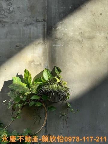 新竹北區廠房-9