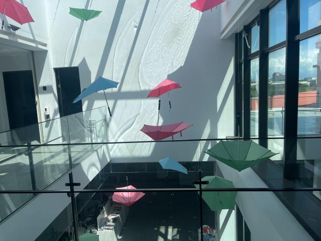 桃園大園廠房-0