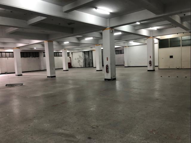 桃園中壢廠房-0