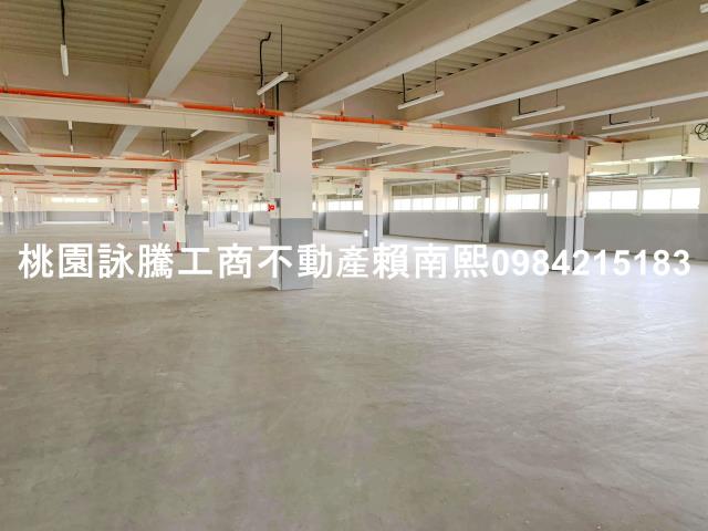 蘆竹廠房-3