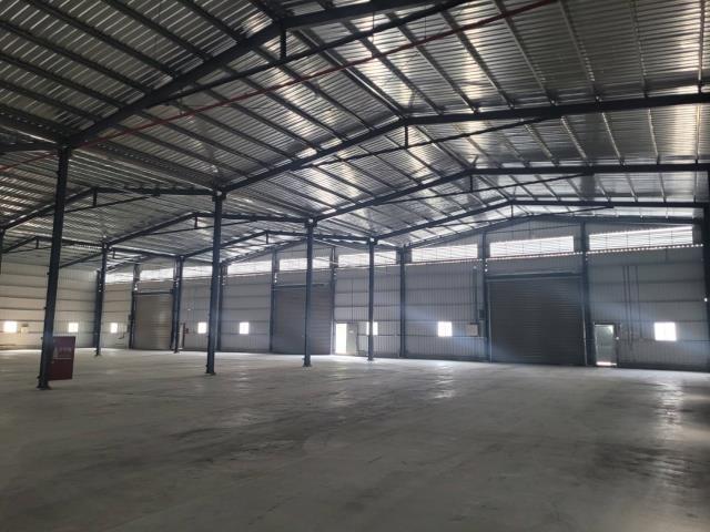 桃園大園廠房-3