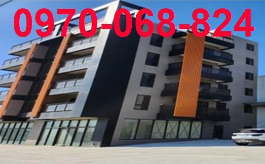 桃園新屋倉庫-0