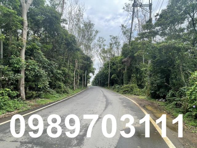 新北林口廠房-3