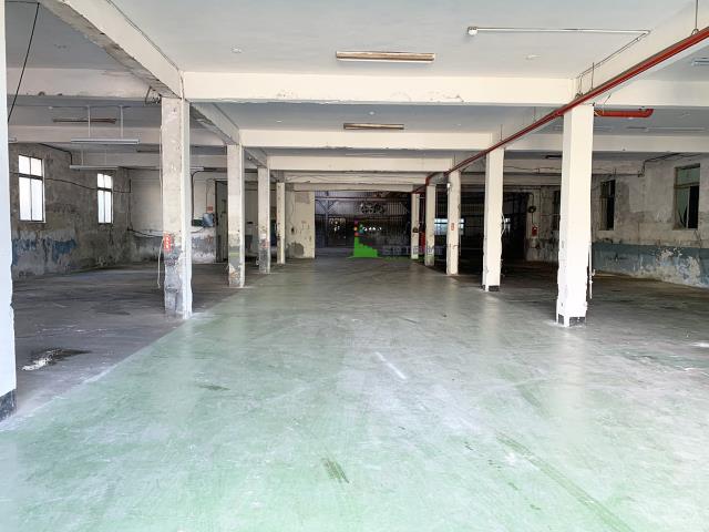 桃園楊梅廠房-0